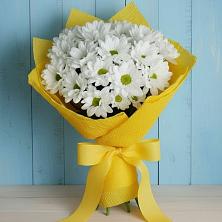Букет цветов из:  Хризантемы в Мокве 1-ой