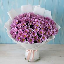 Букет цветов из:  Хризантемы в Мокве 1-ой