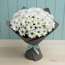 Букет цветов из:  Хризантемы в Мокве 1-ой