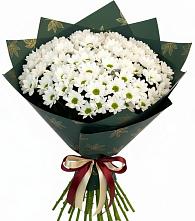 Букет цветов из:  Хризантемы в Мокве 1-ой