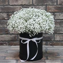 Цветочная композиция из Гипсофила в шляпной коробке в Мокве 1-ой