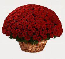Премиум букет из: Розы в Мокве 1-ой