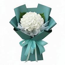 Букет цветов из:  Гортензия в Мокве 1-ой